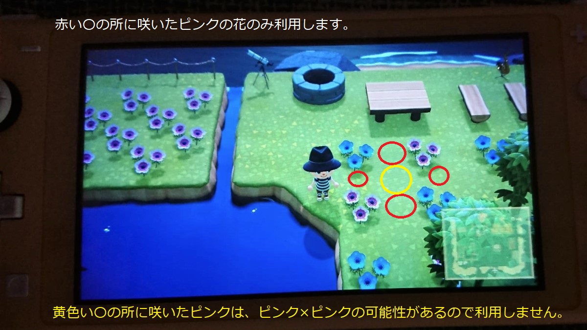 あつ森 紫のアネモネの作り方