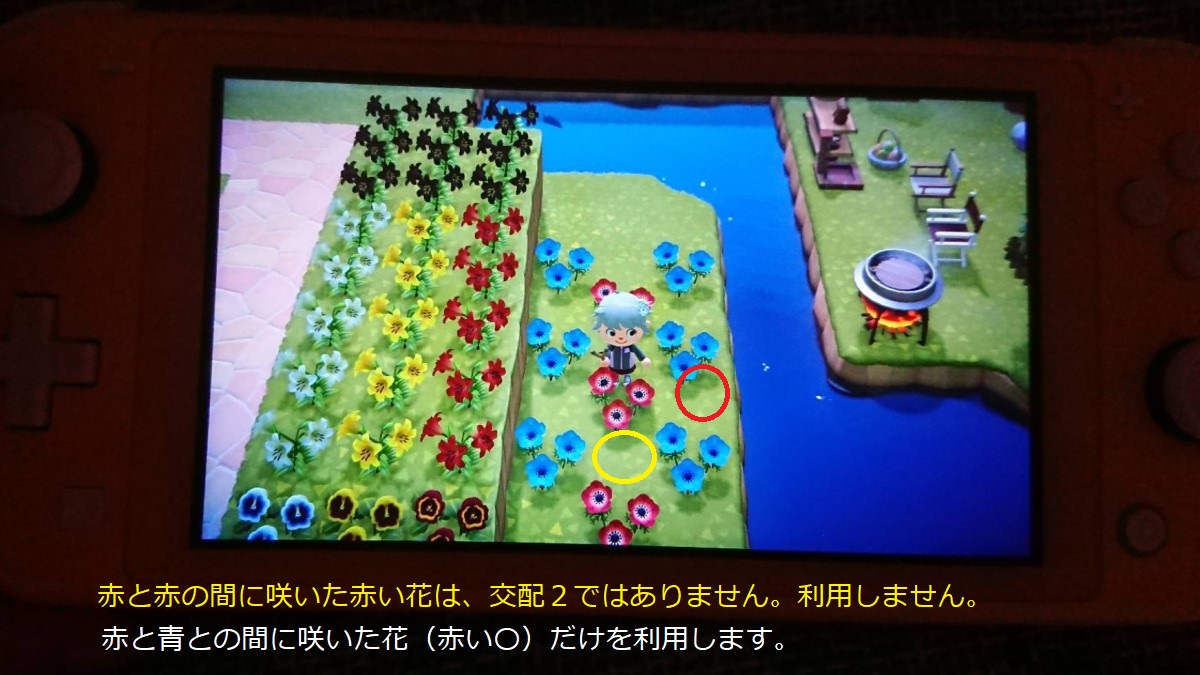 あつ森 紫のアネモネの作り方