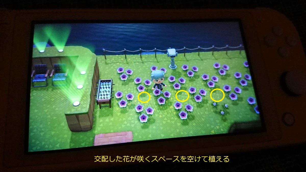 あつ森 紫のアネモネの作り方
